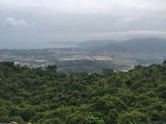 亚龙湾人间天堂-鸟巢度假村-三亚亚龙湾人间天堂鸟巢度假村