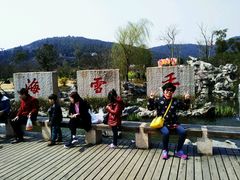 -香雪海