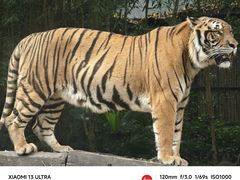 -广州长隆野生动物世界