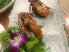 干煎膏蟹-友强·22年特色海鲜大排档·闽菜(湖里店)