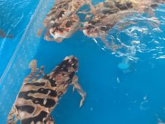 -清水湾3号(东方小周海鲜店)