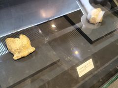 -北京周口店北京人遗址博物馆