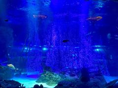 -沈阳海洋探索中心