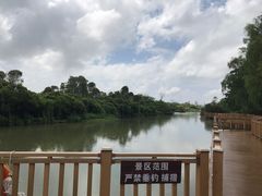 -大湾区中央湿地公园
