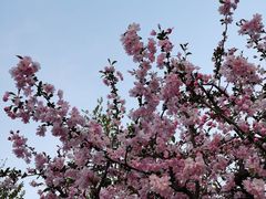 -苏州河梦清园环保主题公园