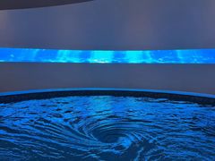 -涨巢·潮玩水疗局