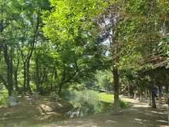 -长白岛森林公园