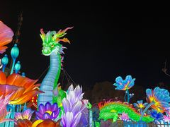 -花博汇(知音花月夜)