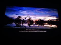 -罗红摄影艺术馆