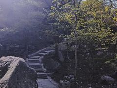-北京凤凰岭