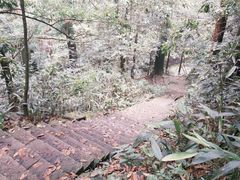 -天目山大树王景区