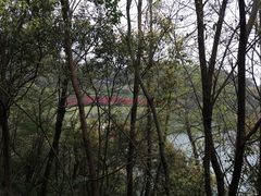 -平湖九龙山旅游度假区