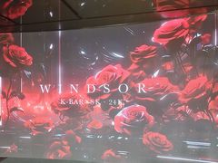 -温莎KTV(国贸店)