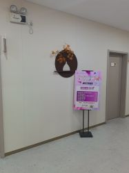 -北京京通医院医疗美容