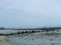 -七鲜渔港美食餐厅(巽寮湾海景店)