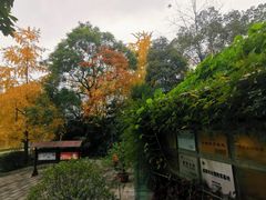 -成都市活水公园