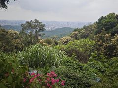 -广州市白云山风景名胜区