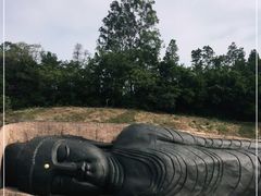 -三水森林公园