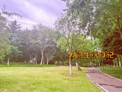 -后襄河公园