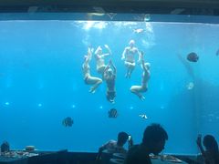 -瑞德姆美人鱼海底演艺主题餐厅(亚龙湾店)