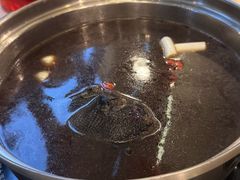 -太婆天府山珍酒楼(亚运村店)
