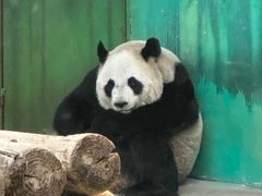 -杭州野生动物世界