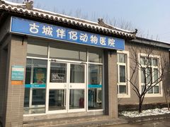 -美联众合动物医院·内科·皮肤科·外科(古城分院)