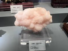 -湖南省地质博物馆