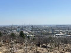 -白水寺森林公园
