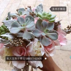 picture-侨治发型