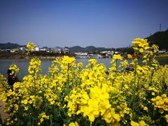 -新安江山水画廊风景区