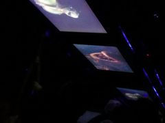 -海洋公园海洋列车－海滨站