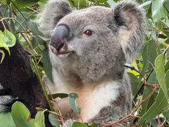 -热带雨林自然公园