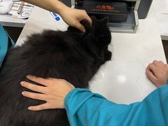 -pd派德宠物中心医院24H急重症·眼科中心·血液透析中心(嵩山北路店)