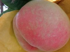 -老袁家蜜桃农场·阳山水蜜桃