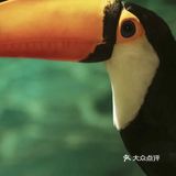 春天的气息｜遛娃亲子小农庄
