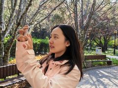 -玲珑塔公园