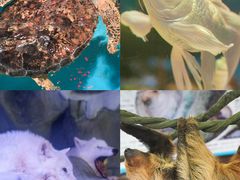 -正佳雨林生态植物园
