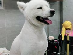 -宠福鑫康馨动物医院·骨科·眼科