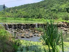 -石塘人家