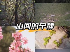-佛慧山
