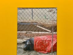 -chi K11艺术空间展览厅