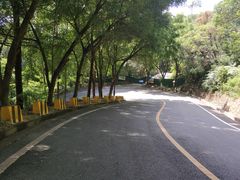 -大雁山风景区