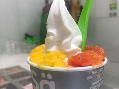 -Salud撒露欧洲冻酸奶(蓝色港湾店)