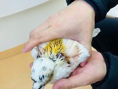 -全心全意动物诊疗中心医院(北苑店)