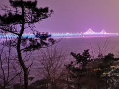 -星海湾跨海大桥