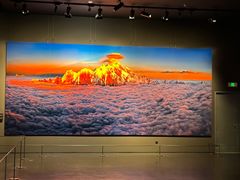 -罗红摄影艺术馆