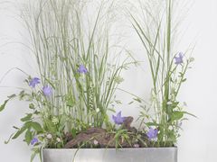 -荷兰布尔玛国际花艺学院