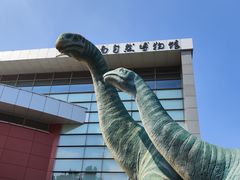-河南自然博物馆