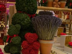 -咖啡苑 - 蔚藍夏日限定主题(永利皇宫店)